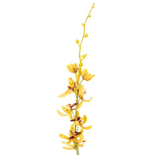 tételeket Mesterséges Cymbidium orchidea virágszárként elegáns dekorációhoz, 95 cm, 2 darab