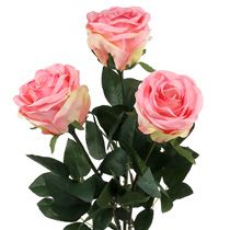 kategória Habrózsa és dekoratív rózsák