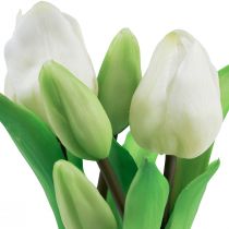 tételeket Műtulipán cserépben Fehér tulipán művirág 22cm