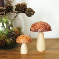 tételeket Fa gomba díszgomba asztali dekoráció ősz barna natúr 5×6cm 8db