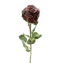 Deco rózsa havas piros Ø6cm 6db