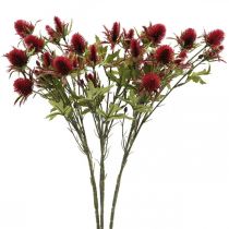 tételeket Bogáncs művirág piros bordó 10 db virágfej 68cm 3db