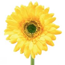 tételeket Művirágok Gerbera Sun Yellow Kerti Virág 47cm