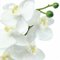 tételeket Mesterséges orchidea művirág fehér Ø6,5-8cm 77cm