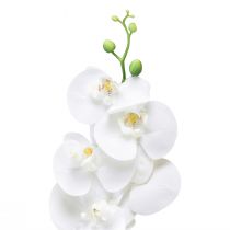 tételeket Fehér mesterséges orchidea Phalaenopsis Real Touch 85cm