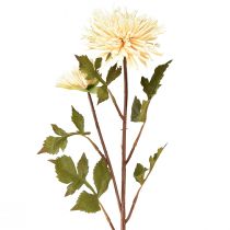 tételeket Krizantém krémszínű művirág 2 virággal L70cm