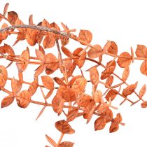 tételeket Mesterséges eukaliptusz akasztó Őszi eukaliptusz narancs 150cm