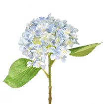 tételeket Hortenzia műkék művirág kék Ø15,5cm 45cm