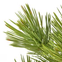 tételeket Pine in Pot Artificial Mini Christmas Tree Green H72cm