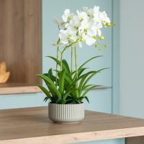 tételeket Mesterséges orchidea művirág cserépben fehér 60cm