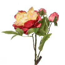 tételeket Pünkösdi rózsa Selyemvirágok Művirágok Pink Sárga 68cm