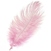 tételeket Strucc toll Igazi toll dekoráció rózsaszín 20-25cm 12db