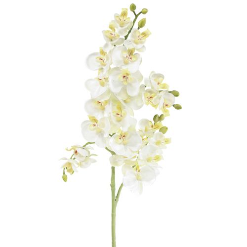 Phalaenopsis Mesterséges Orchideák Művirágok Fehér 70cm