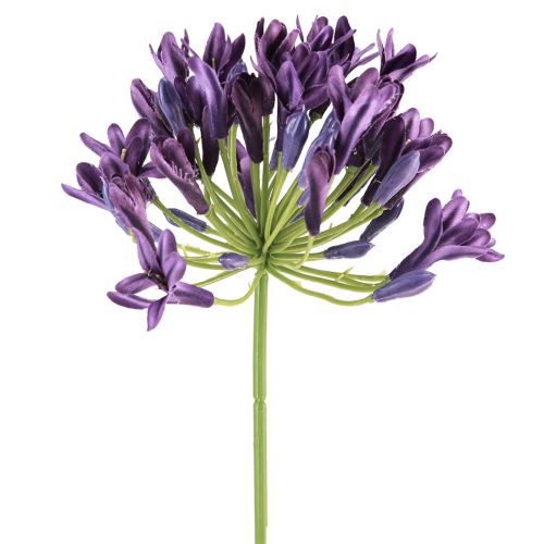 tételeket Agapanthus művirág lila dekoráció liliomok 75cm 2db