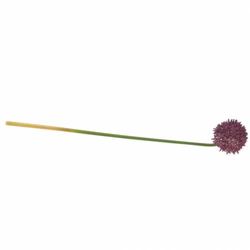 Floristik24 Díszhagyma Allium műlila Ø8cm 58cm