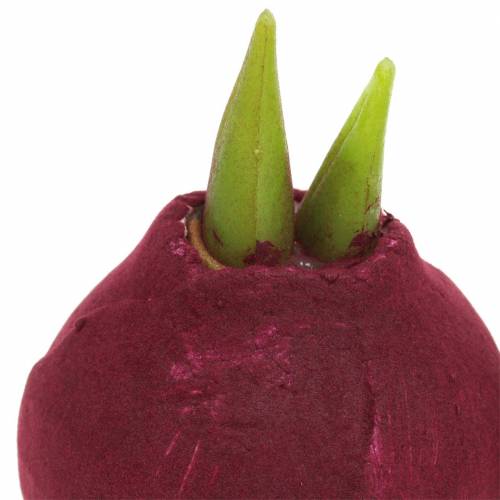 Floristik24 Amarillisz izzó Műbordó H12,5cm 3db