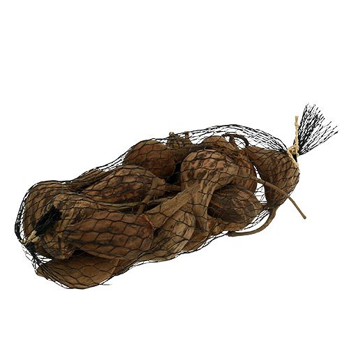 Floristik24 Baobab mini hámozott natúr 8cm - 12cm 250g