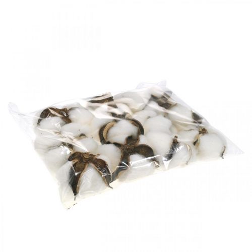 tételeket Művirágok szárazvirág-kompozíciókhoz és asztaldíszekhez