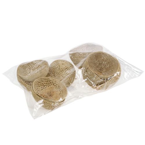 tételeket Aszalt gyümölcs csengő csésze természetes gyászdísz 8,5-11cm 10 db