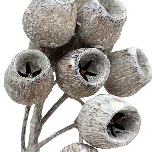 tételeket Bellgum ág 5-7 terméssel fehérre mosva 20 db