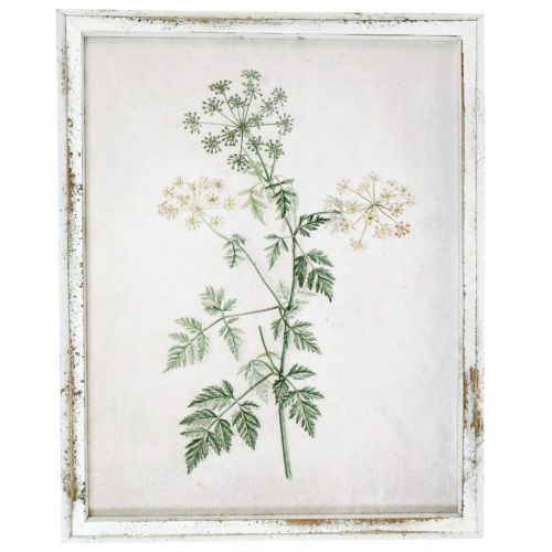 tételeket Vintage faldísz, kép kerettel fa szárított növény 40×50cm