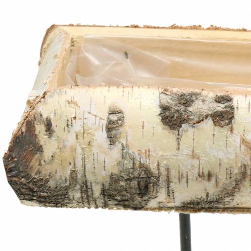 Floristik24 Nyírfa ültetőgép fém talppal 35x12cm H27cm