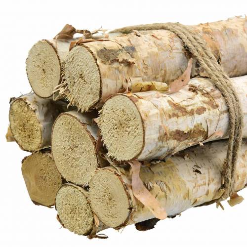 Floristik24 Nyírfa ágak kötegben natúr 40cm