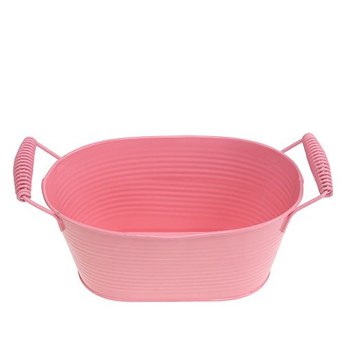 Floristik24 Lemeztál ovális lazac 20cm x 12cm H9cm