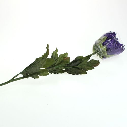 Floristik24 Krizantém lila 74cm