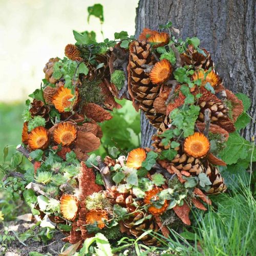 tételeket Compacta Rosette 100 db