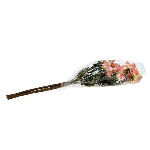 Floristik24 Dália rózsaszín Ø10cm L68cm 3db