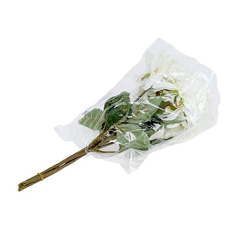 tételeket Dália fehér 28cm 4db