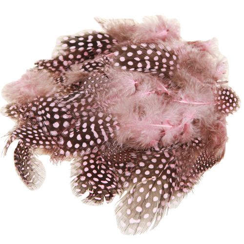 tételeket Igazi gyöngytyúk toll rózsaszín pöttyös 4-12cm 100 db