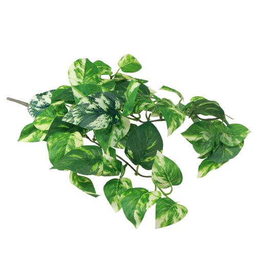 Floristik24 Borostyán növény Pothos ivy műarany inda 50cm