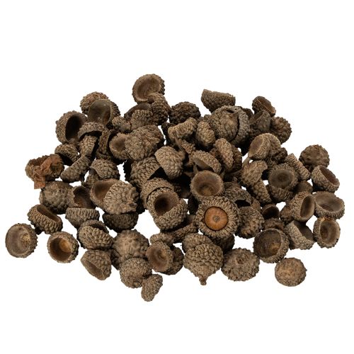 tételeket Természetes makk sapkák, dísztálak őszi és adventi időszakra, 2 cm, 300 g
