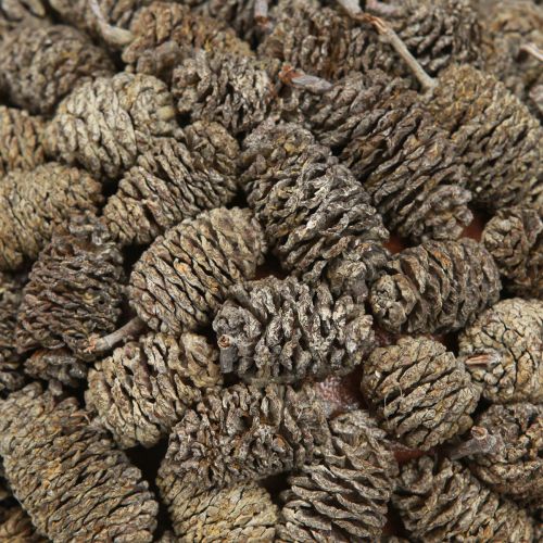 tételeket Égerfa toboz díszgömb akasztásra, fehérre meszelt, 20cm