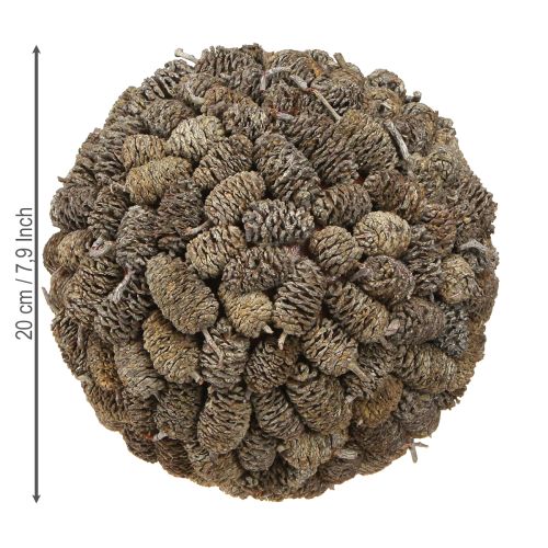 tételeket Égerfa toboz díszgömb akasztásra, fehérre meszelt, 20cm