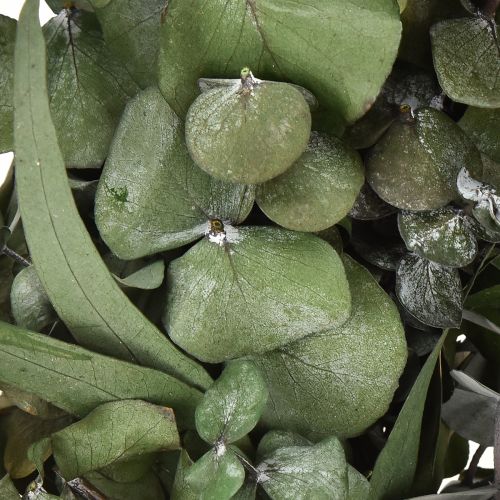 tételeket Eukaliptuszból készült természetes koszorú Ø35cm tartósított illatos dekoráció