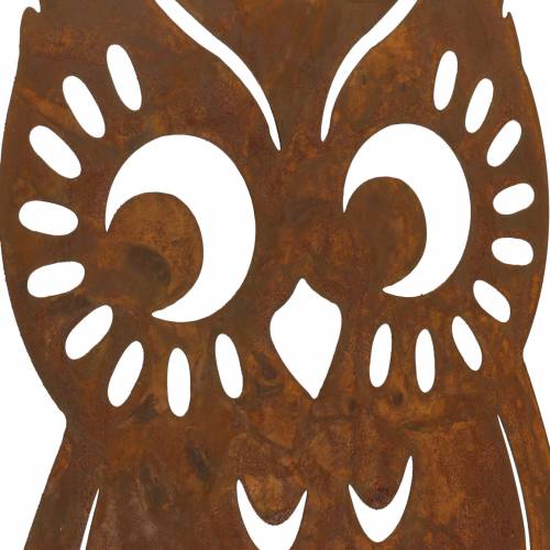 Floristik24 Bagoly patina nyírfa törzsön 42cm x 36cm