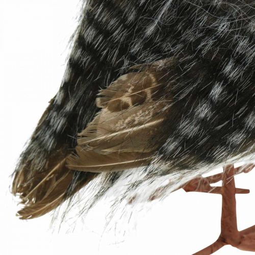 Floristik24 Díszítő bagoly, őszi, díszmadár, erdődísz H21cm