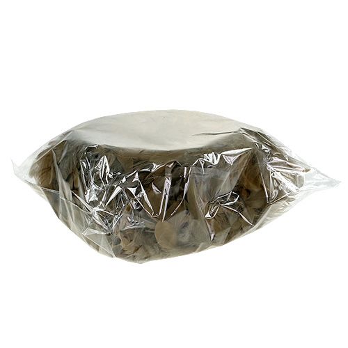 Floristik24 Tavaszi akasztható koszorú Ø20cm barna 3db