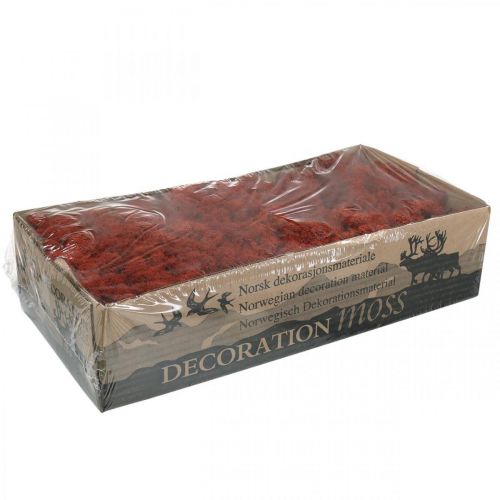 tételeket Dekoratív Moss Red Siena natúr moha kézművesekhez szárítva, festve 500g