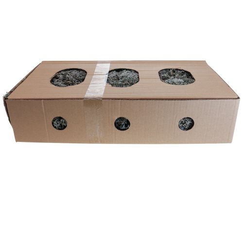 tételeket Lichen zuzmó moha fa moha dekoratív moha natúr 1kg