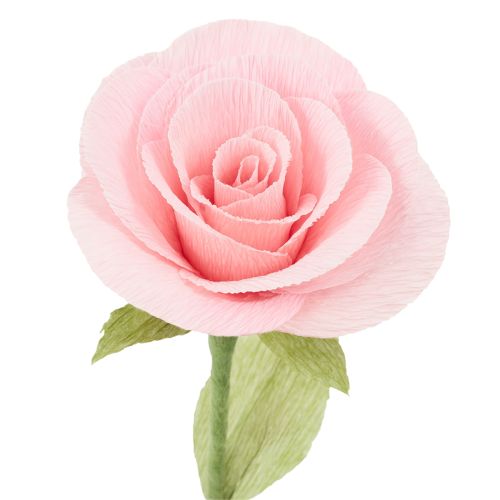 tételeket Virágkötő krepp papír fűzöld 50x250cm