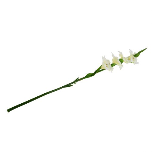 Floristik24 Gladiolus fehér 86cm mű