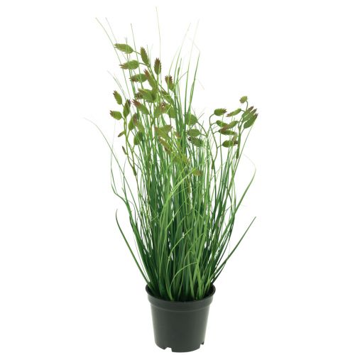 tételeket Quaking Grass Műfű Műfű cserepes növény 36cm