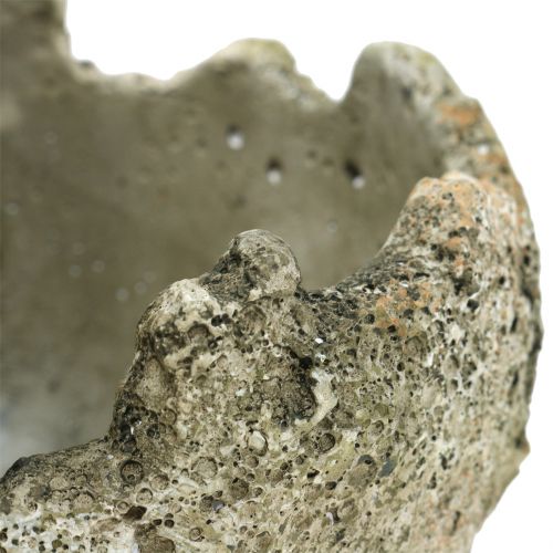 Floristik24 Betonlabda ültetéshez Ø15cm H13,5cm