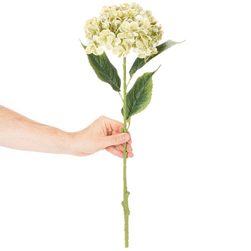 tételeket Műhortenzia virág hosszú szárral és levelekkel, 60cm