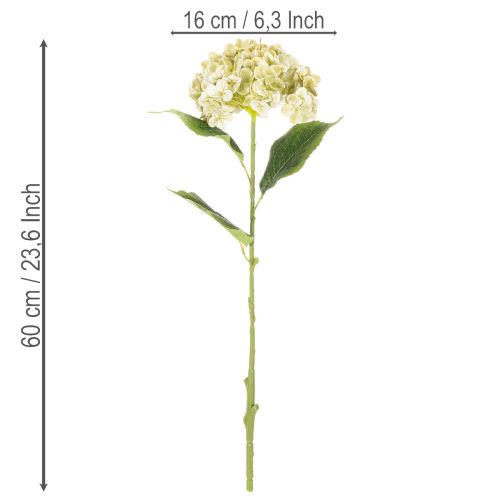 tételeket Műhortenzia virág hosszú szárral és levelekkel, 60cm