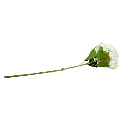 Floristik24 Hortenzia Maxi White Ø30cm L113cm
